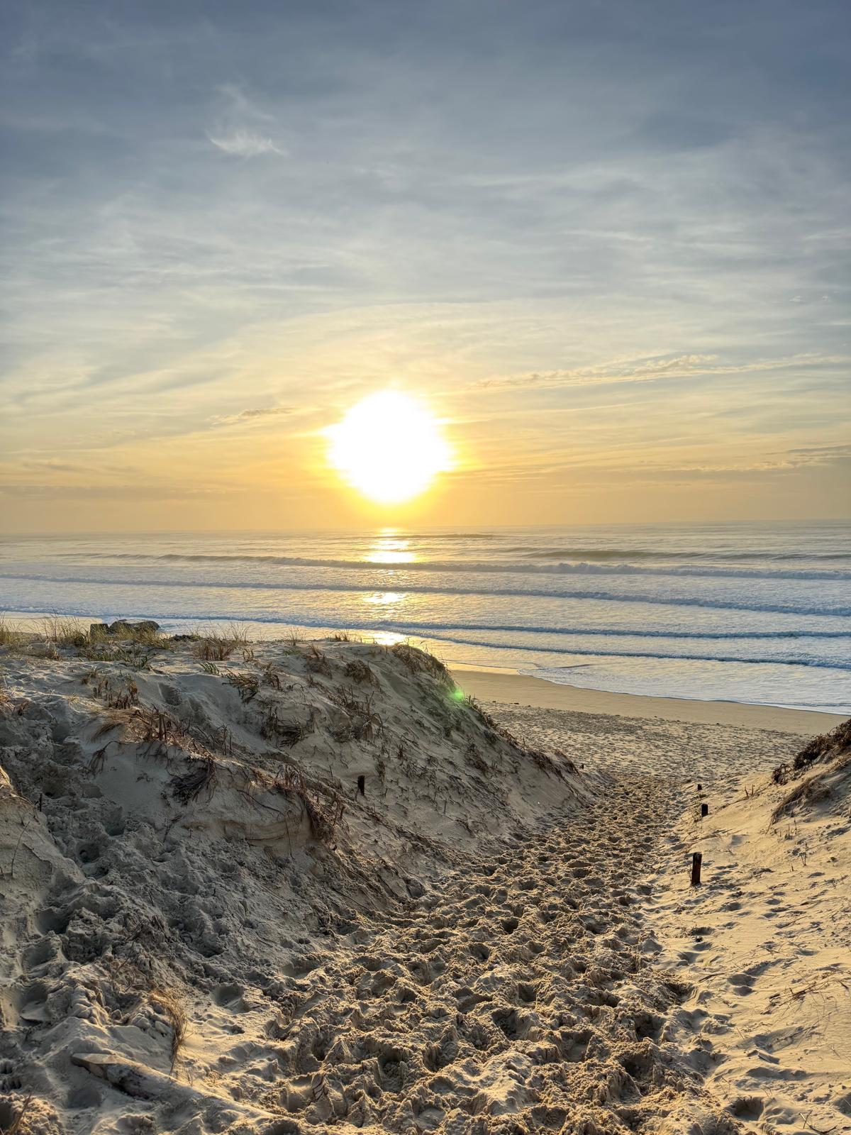 Personnes en ligne avec des cartes au sol, symbolisant un cheminement ou un choix.