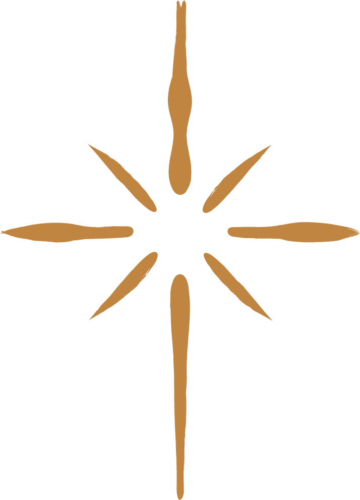 Icône Ludopédagogique